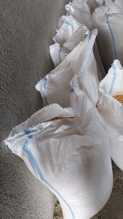 Porumb și grâu  de vânzare  .Nu facem transport.