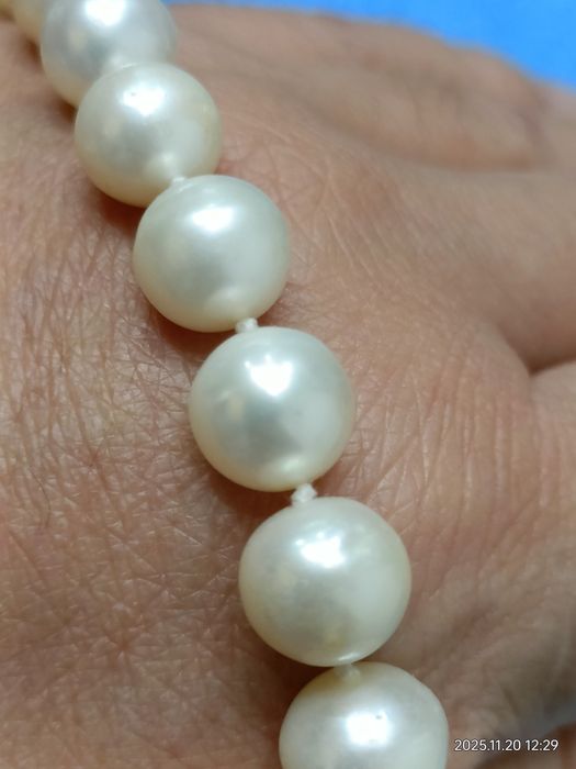 Vind șirag de perle akoya cu închizătoare din aur 14kt