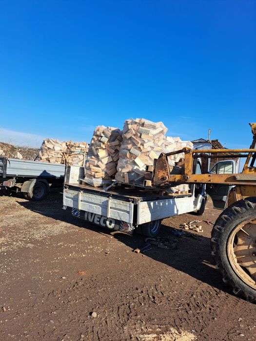 Lemne de foc fag tăiate și crăpate