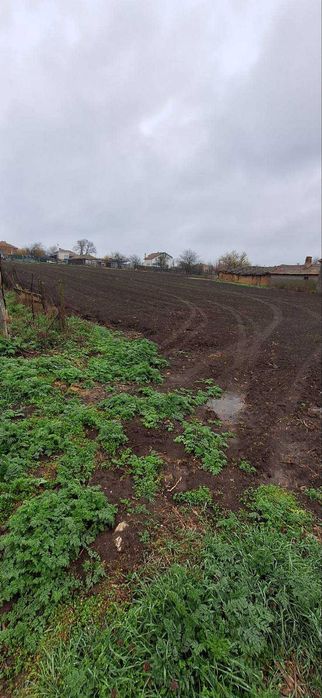 3.4 дка в с. Златия област Добрич