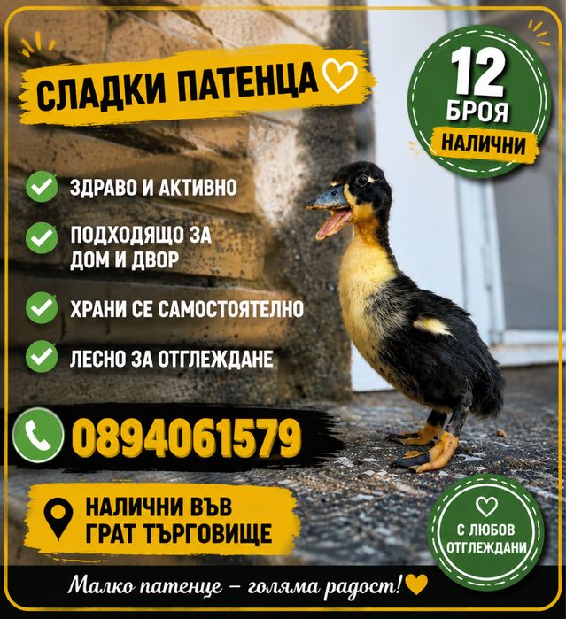 патета на 20 сена