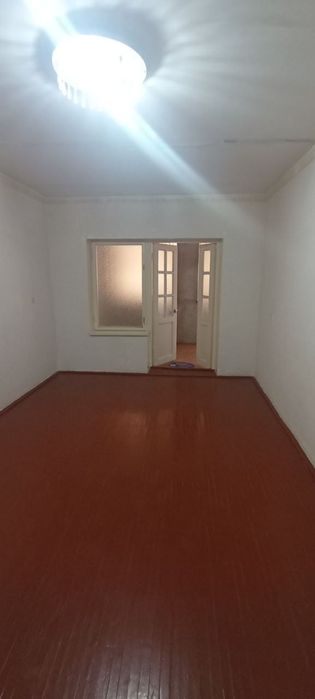 Domijaragaberiladi