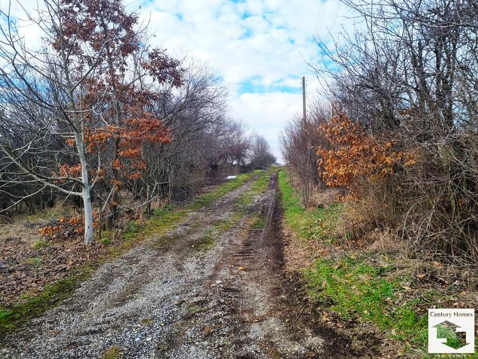 116210 Два парцела, подходящи за застрояване в с. Момин сбор