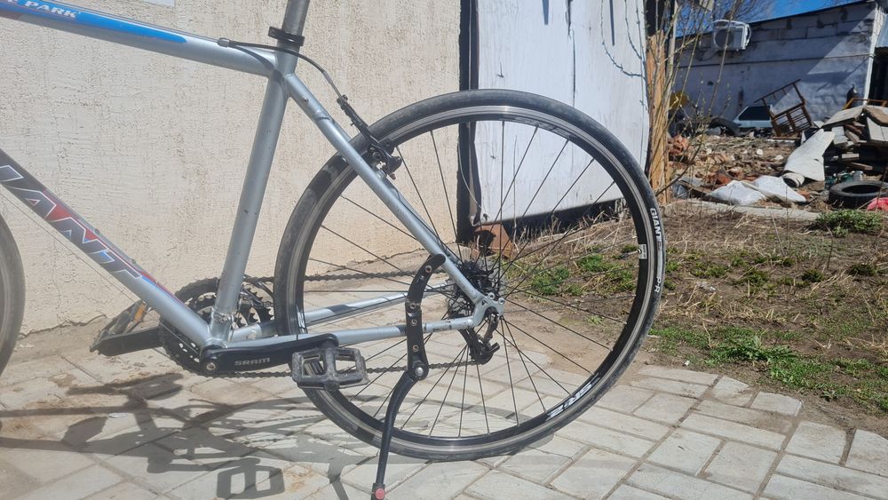 Giant hyde park гибрид