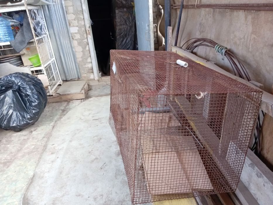 Клетка для кроликов