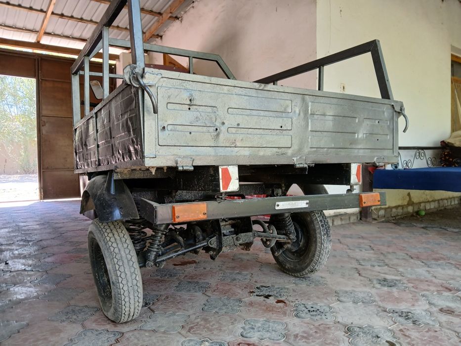 Муравей в хорошем состоянии