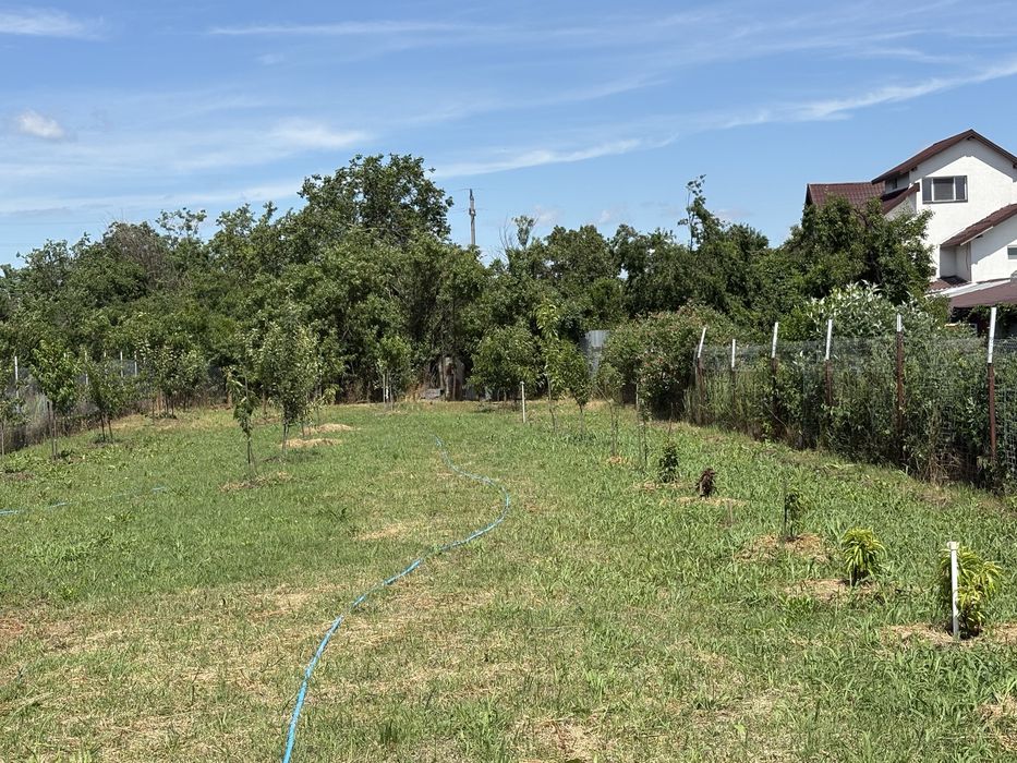 Teren intravilan 2.200 mp în Poenari (Ulmi, Giurgiu) – împrejmuit, cu puț, livadă și solar