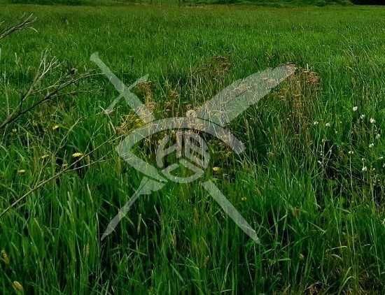 УПИ в Стамболийски 90924