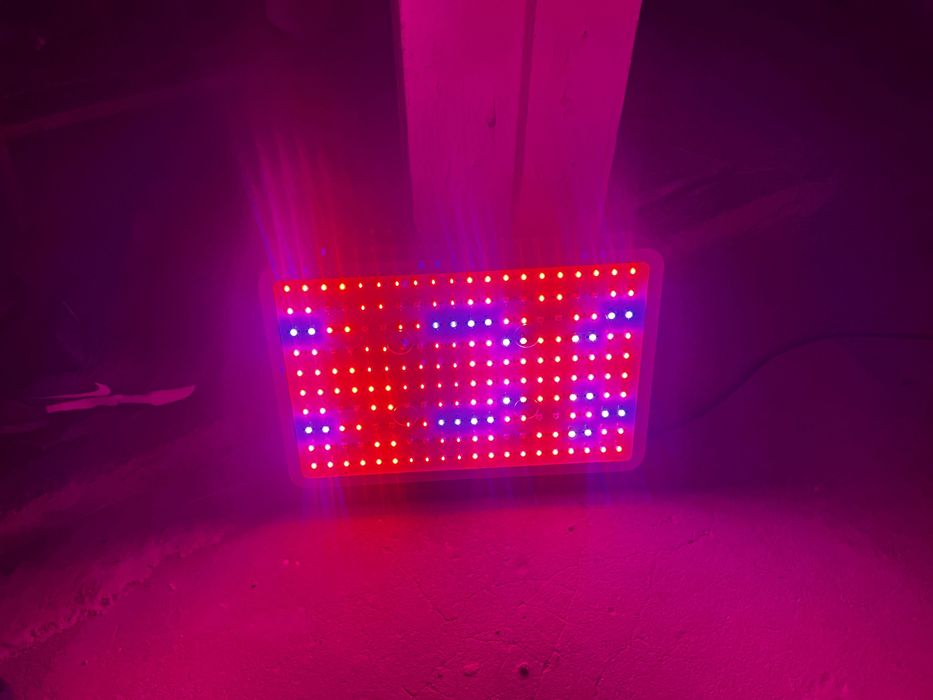 Лед лампи за растеж на растения