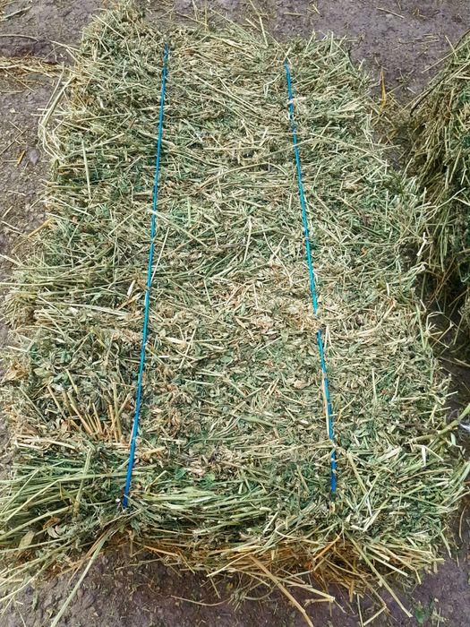 Baloți de lucernă,