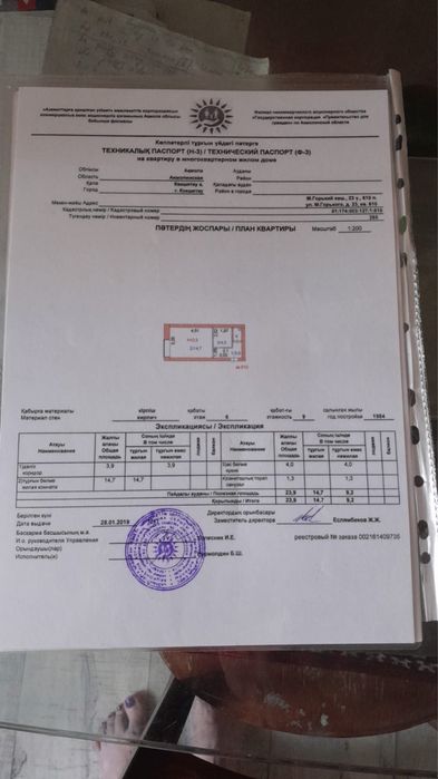 квартира 1 комната