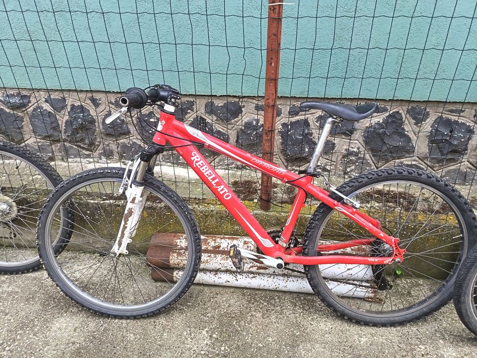 Biciclete de vânzare la bucată