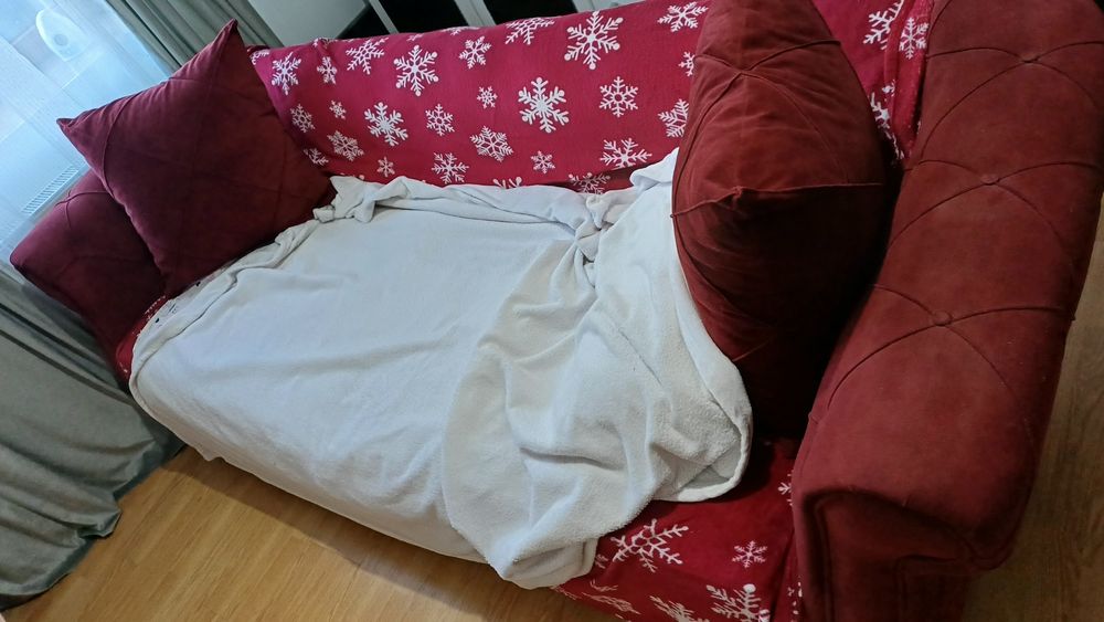 Canapea visinie de vanzare negociabil