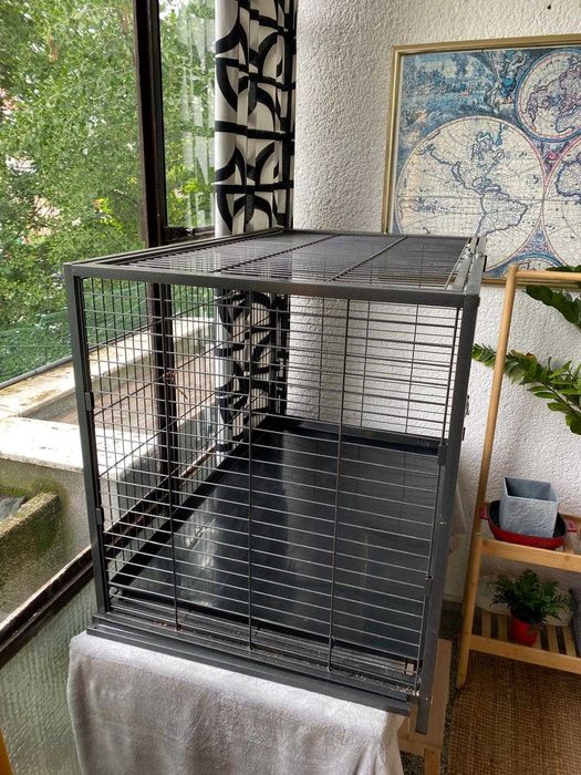 colivie  PASARI   cusca ANIMALE   mare si rezistenta