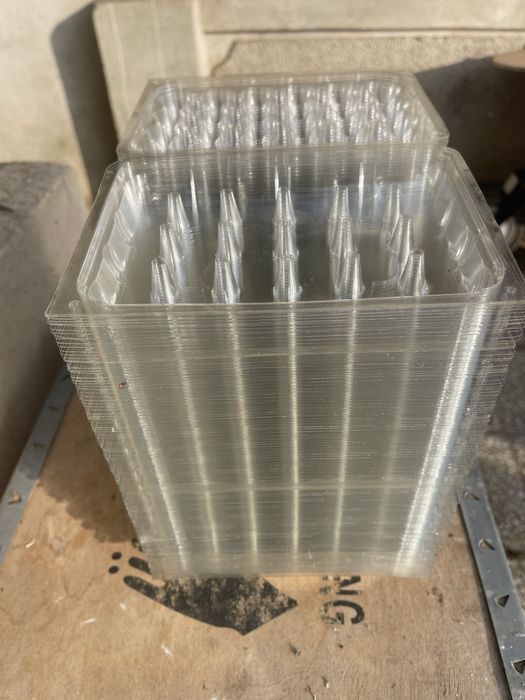 Cofraje oua prepelita