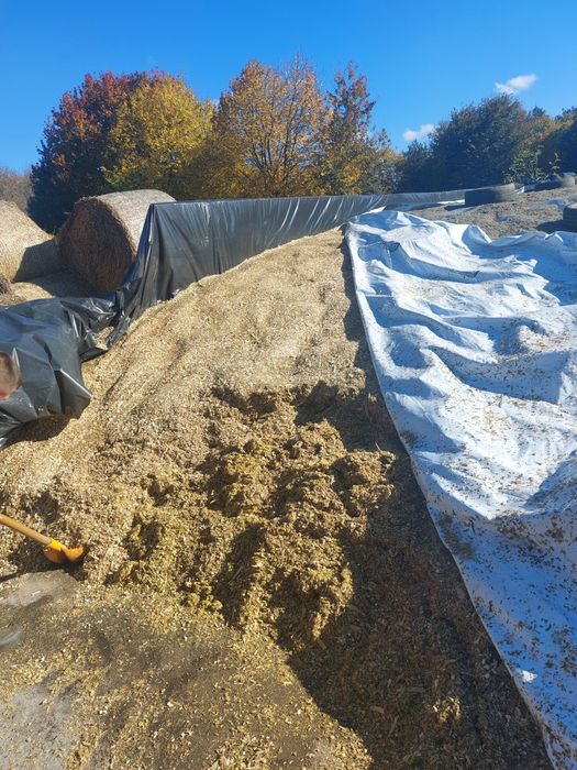 Siloz de porumb  de vanzare