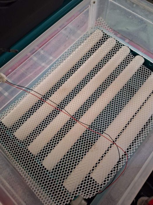 Автоматичен инкубатор