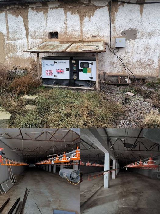Продается птицеферма 2,4 ГА Сурум, Багиш, Куйичирчикский район.