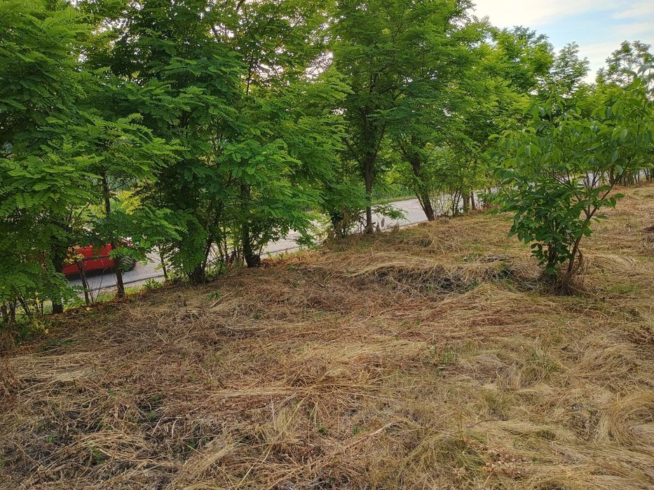 2 terenuri intravilan  intre Apahida si Cojocna 35 € mp.