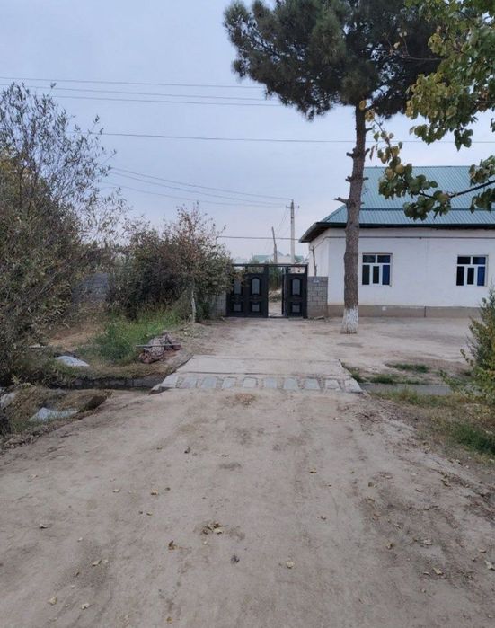 Hamma sharoiti bor Yer