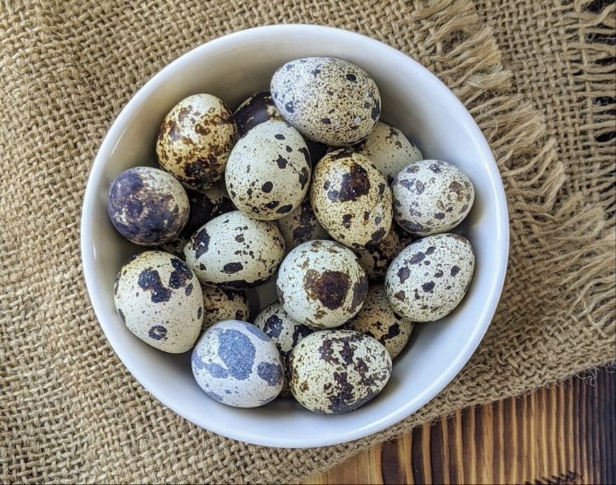 Бөдене Перепелиные яйца