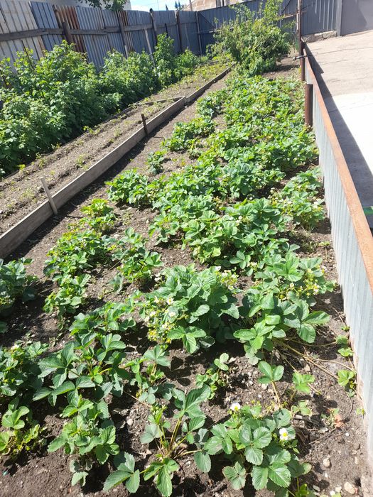 Коттедж 2-хэтажный.