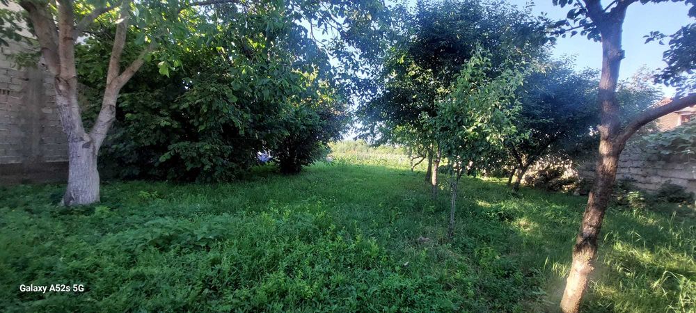 Casa solida saseasca + 2500mp teren, Bod