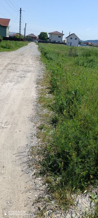 Teren intravilan gilau