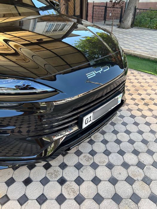 Накладки на переднюю решётку BYD Champion DM-i (23–25 г)