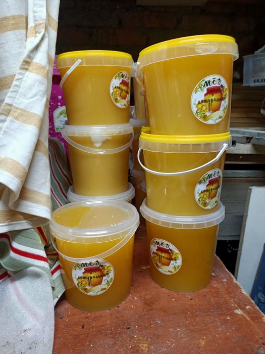 Продам мёд разнотравье