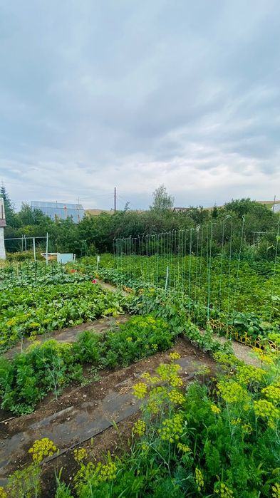 Продам дачу, р-н Ахмирово