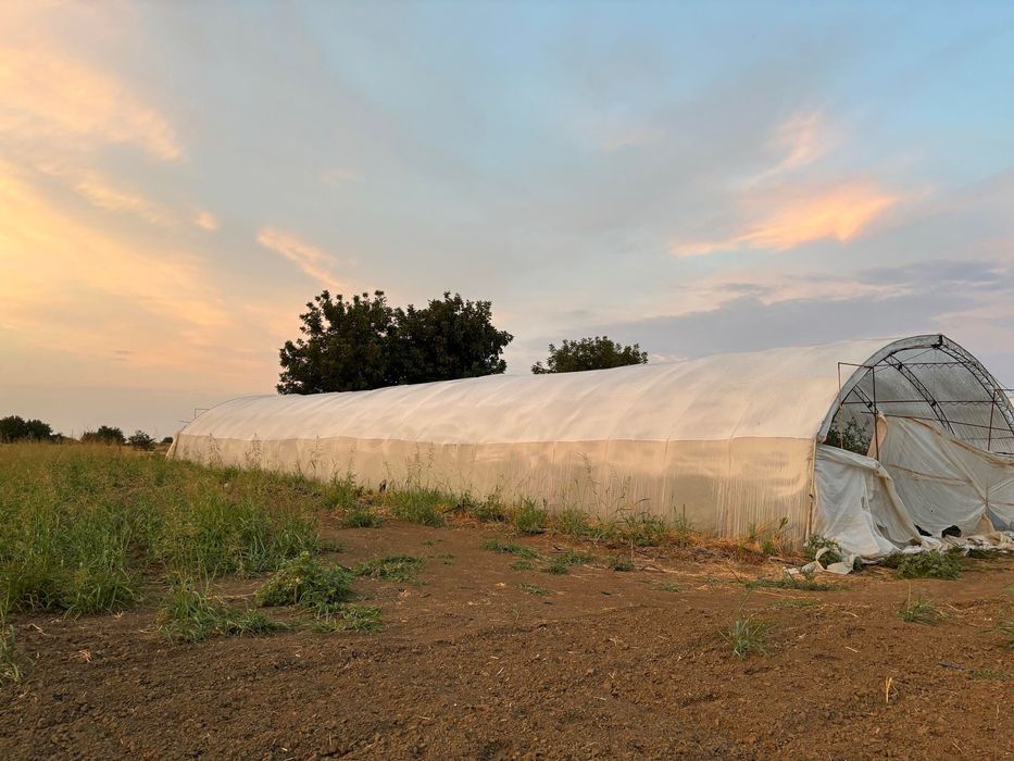 Продавам оранжерии и инвентар