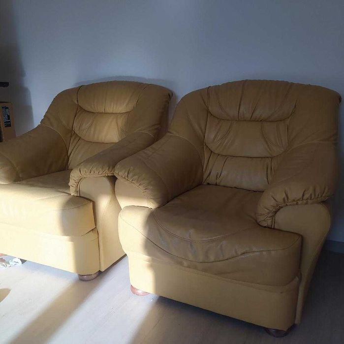 fotolii din piele ecologica - Brasov