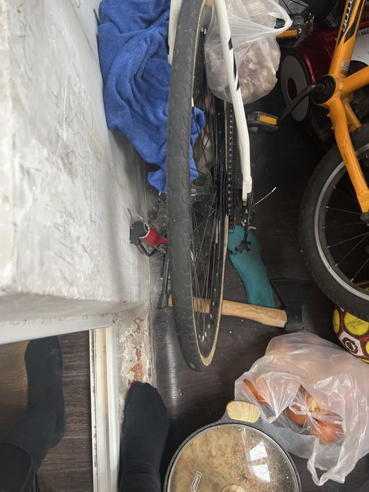 велик в хорошым состаяние