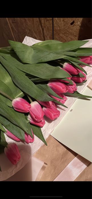 Тюльпаны крупные