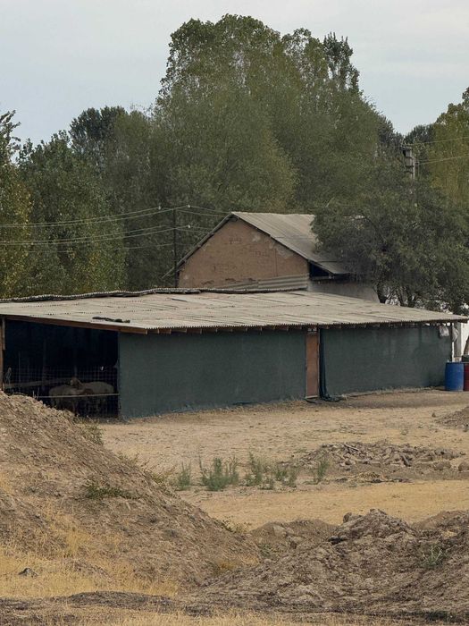 Продается участок  Юкоричирчик р-н, Суркент, Янгихает МФЙ, ул Кизилту