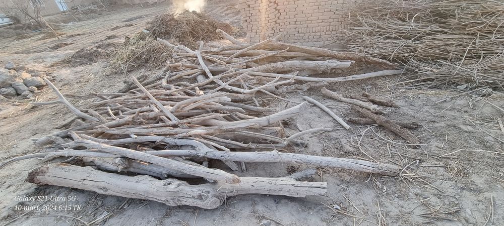 O'tn hoda va yana boshqa lar