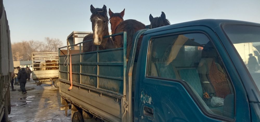 Доставка по городу до 3 тонн