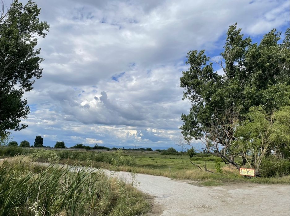 Продава се Парцел в Пловдив, Център - 9500 кв.м за 24 €/кв.м - Снимка #4