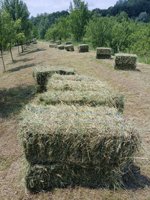 Baloți fân de vânzare