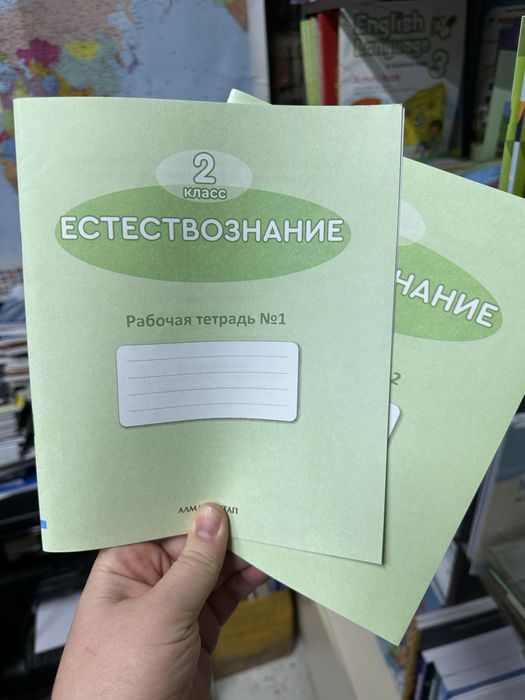 Рабочие тетради за 2 класс