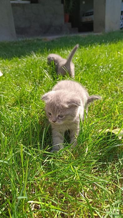 Бронируем,Веслоущки..