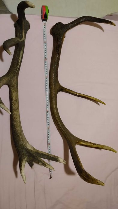 Декор, украса, сувенир