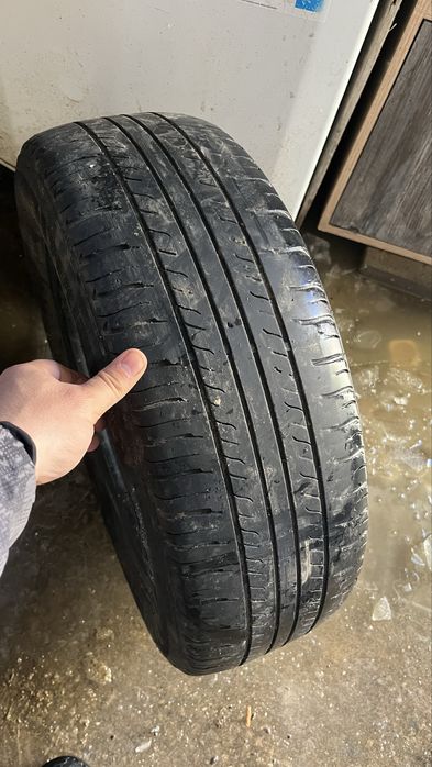 Шины летние, донгелектер