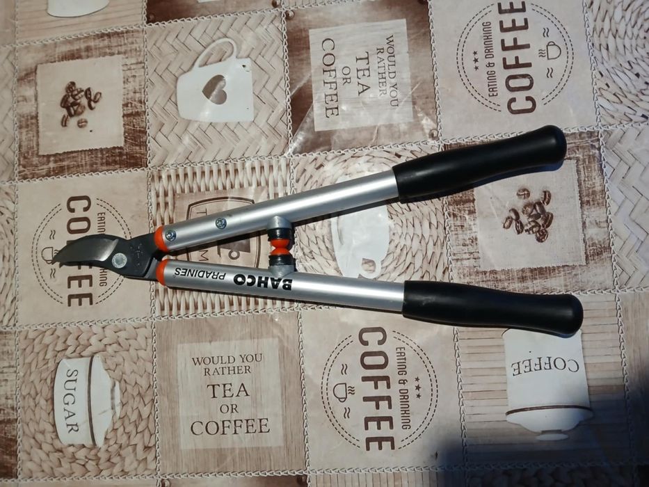 Vand foarfeci de taiat pomi,gard viu si vita de vie