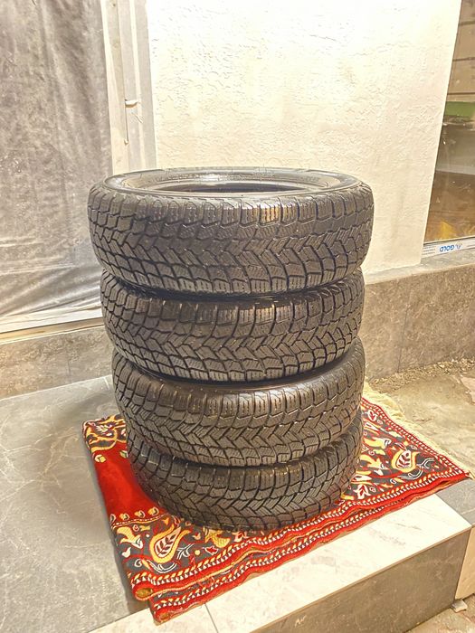 Зимние шины Michlein Мишлен