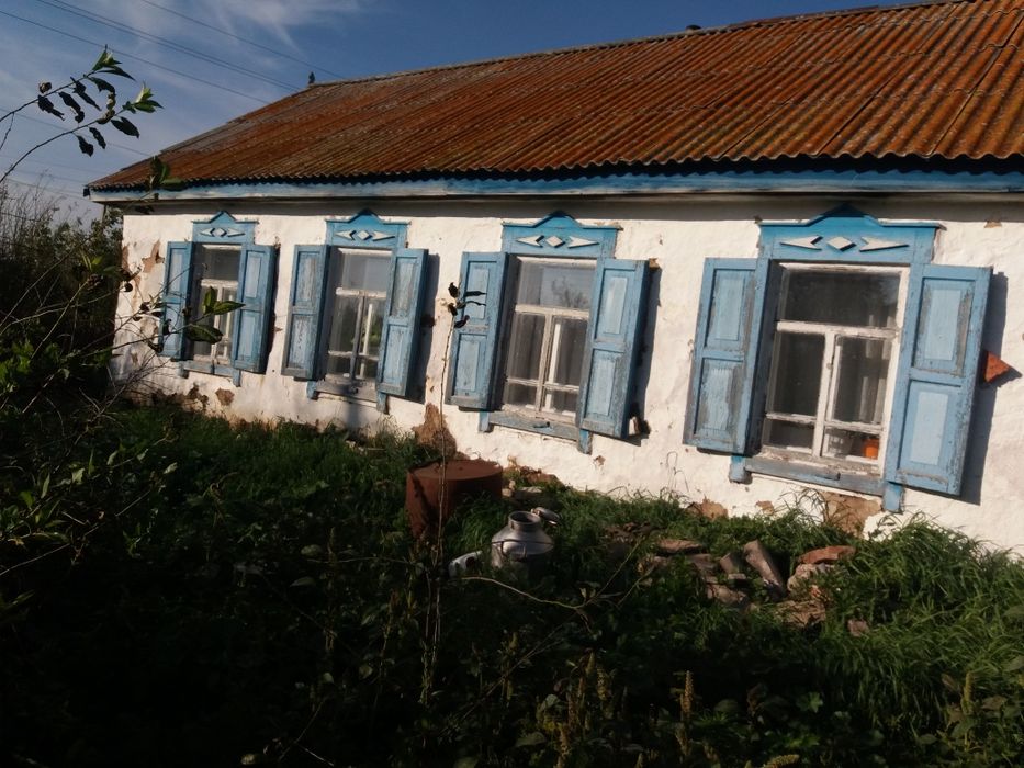 Продам дом. с. Еленовка