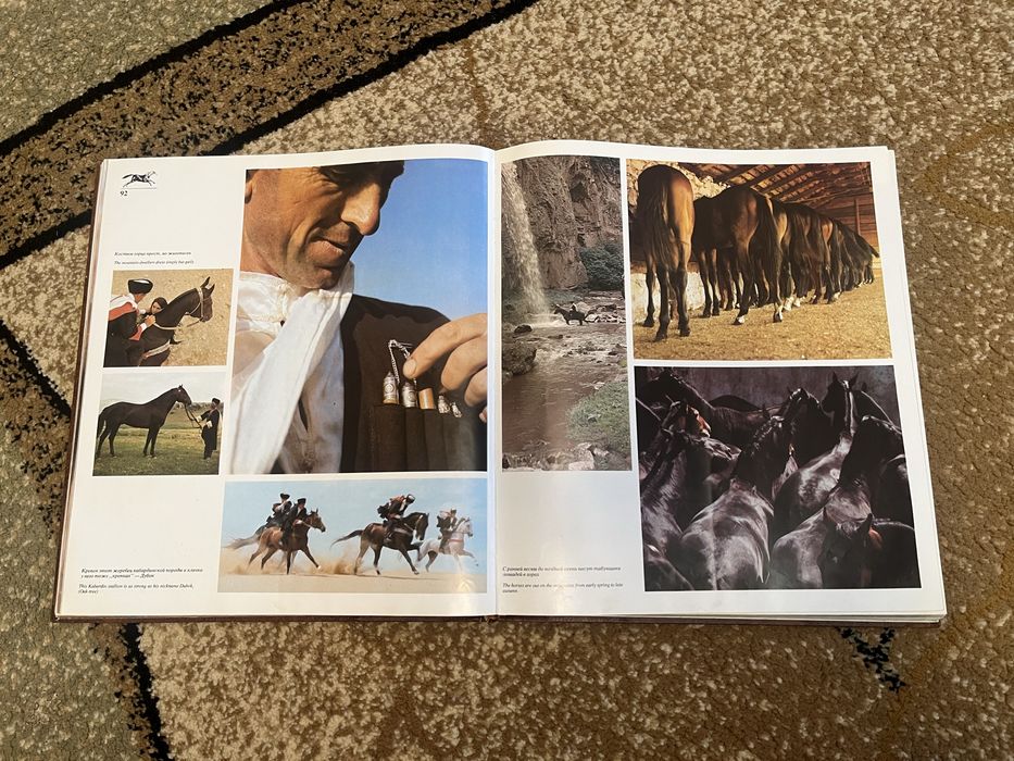 Продам Ветер в гриве | Horses