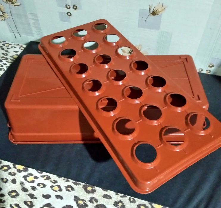 Набор для проращивания зеленого лука