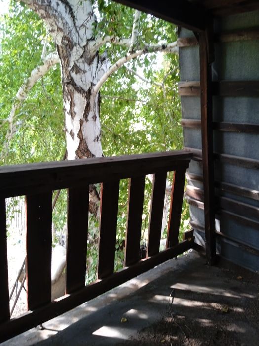 Дача сад Северный